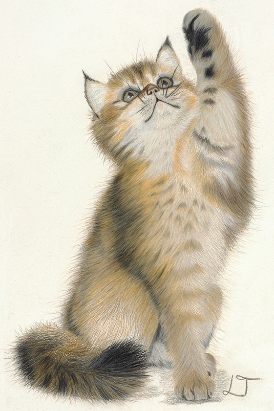 Curious Kitten colored-pencil artwork
